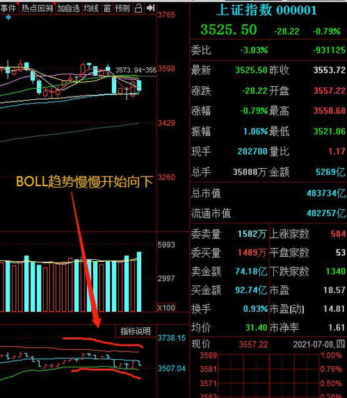 如何看股票是什么类型