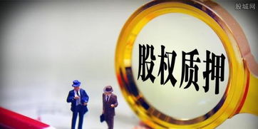 西部证券股东大会怎么看