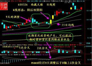 如何改变股票交易日限制
