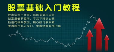 股票达人如何直播