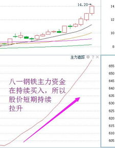 如何查找股票的主力资金