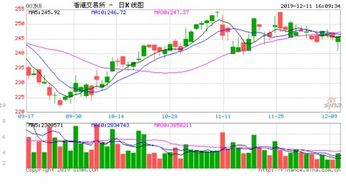 港交所期权证券怎么样