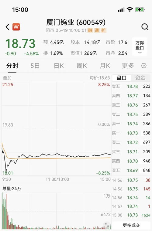 如何增发股票价格