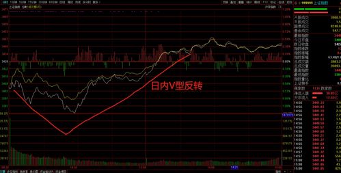 如何看待v型反转股票