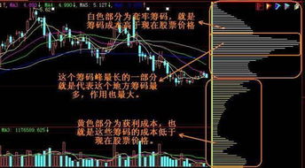 如何看股票筹码判断股票