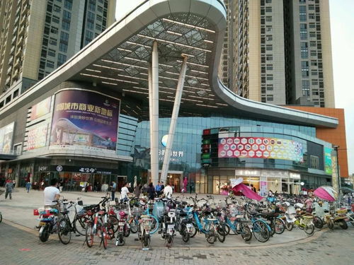 中信证券怎么绑定资金卡