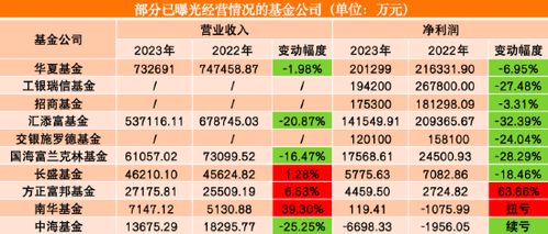 证券年报怎么写