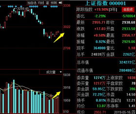 今天的股票市场如何查看