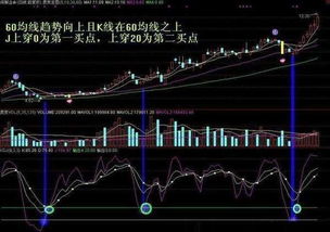如何看股票和选股指标 如何看股票和选股指标