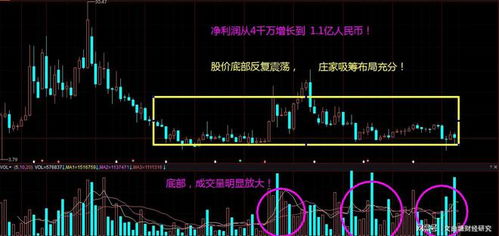 如何看到股票投资机构