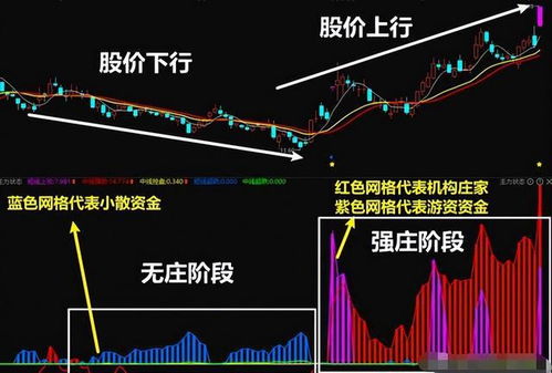 股票如何看庄家资金走势