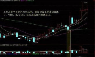 如何设置股票预测指标