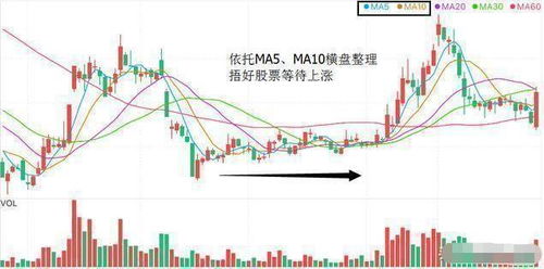 如何查自己的五粮液股票