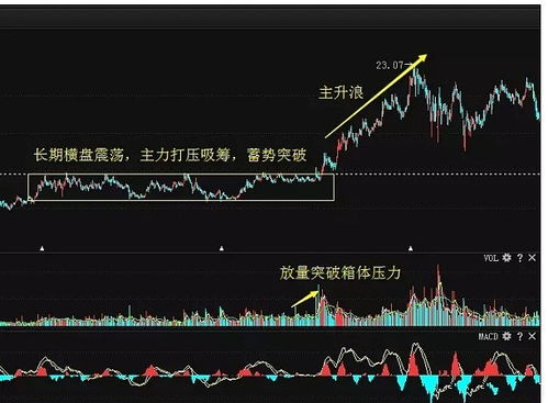 如何找到早期启动股票