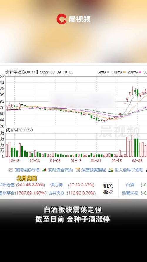 金种子股票如何 金种子股票如何