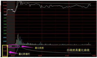如何看股票pe值选股