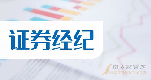 华林证券怎么查