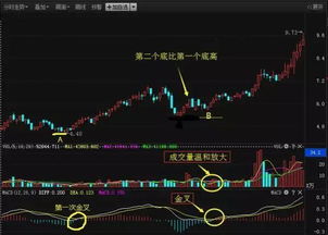 如何查看股票涨停