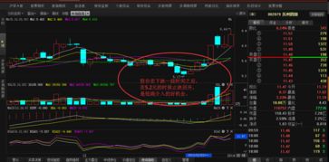 如何根据均线买卖股票
