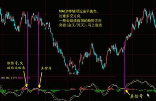如何查看股票的强度