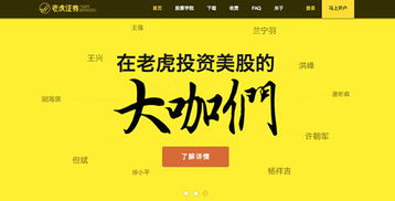 老虎证券融资怎么用
