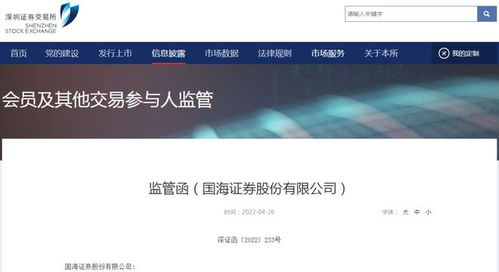 国海证券怎么查询