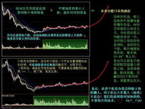 如何知道你有多少支股票
