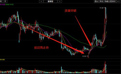 如何知道你有多少支股票