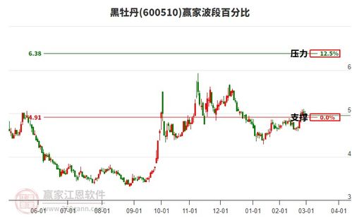 龙头股票如何转换