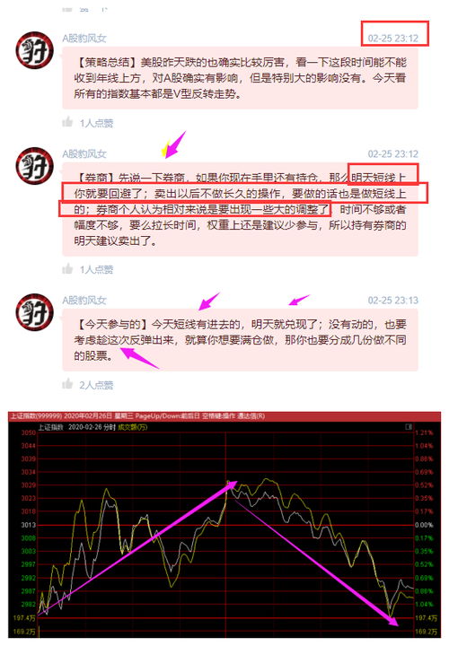 如何用股票做基金定投
