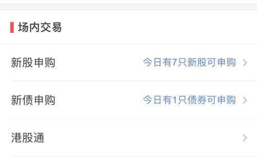 如何网上申购新股票