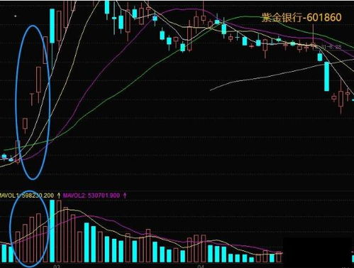 主力是如何选股票的呢