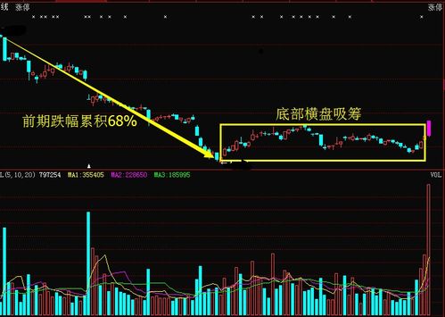 牛市如何选强势股股票 牛市如何选强势股股票