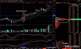 如何成为股票高手