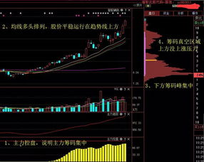 股票如何添加文字