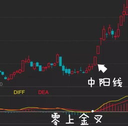 摩德纳股票两年走势如何