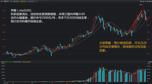 证券期货怎么 证券期货怎么