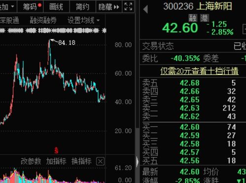 如何查哪些股票停牌了