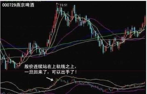老股民如何看待股票涨跌