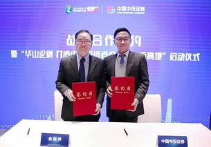 中国中投证券怎么样
