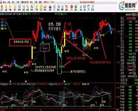 股票指标公式如何学