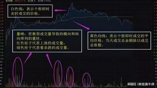 一个新手如何去买股票呢