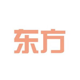 东方证券会计师怎么样