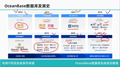 招商证券转融通怎么操作