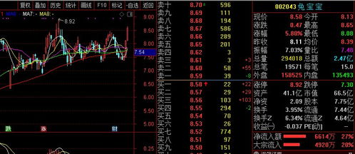 怎么进证券炒股圈子