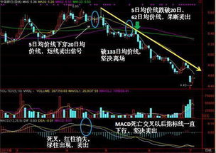 股票指标如何调整