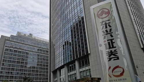 东兴证券怎么发行