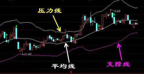 小布股票如何