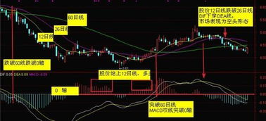 如何让散户成功买股票 如何让散户成功买股票