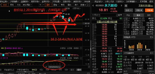 如何查看股票总盈亏
